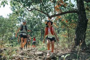 BIB: 
                            <button type="button" onclick="openModal(26109851)" class="btn btn-primary btn-sm float-right btn-popup" data-toggle="modal" data-target=".modal-high-quality">
                        <i class="fas fa-shopping-cart"></i> Add to Cart
                    </button>
                                            <button type="button" onclick="isThisMe(26109851, true)" class="btn btn-success btn-sm float-right btn-popup btn-isme hidden" data-toggle="tooltip" data-placement="bottom" title="นี่คือรูปของคุณใช่ไหม คลิกที่นี่เพื่อเอาเข้าอัลบั้ม">
                        <i class="fas fa-plus"></i> Add to album
                    </button>
                    <button type="button" onclick="isThisMe(26109851, false)" class="btn btn-warning btn-sm float-right btn-popup btn-isnotme hidden">
                        <i class="fas fa-ban"></i> Remove from album
                    </button>